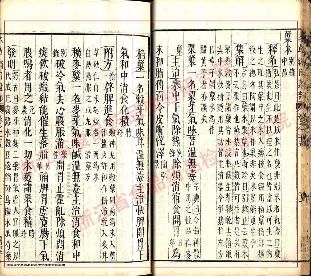 麦芽 明 《本草纲目》 资料图