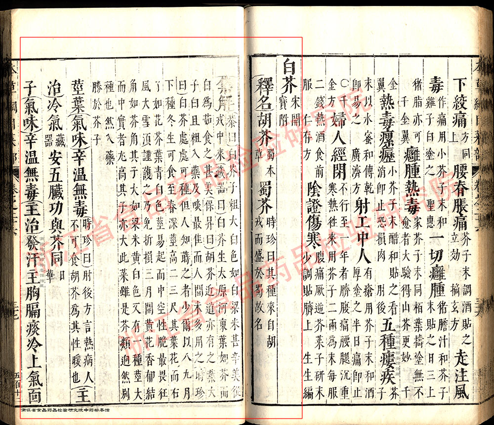 芥子 明 《本草纲目》 资料图