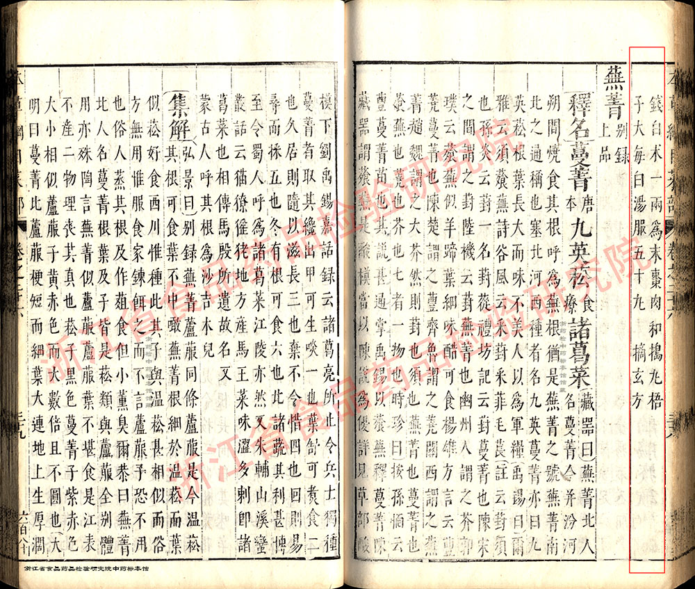 芥子 明 《本草纲目》 资料图