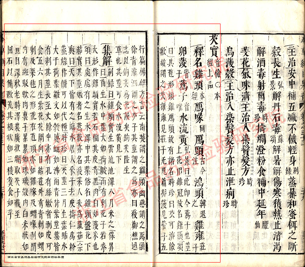 芡实 明 《本草纲目》 资料图
