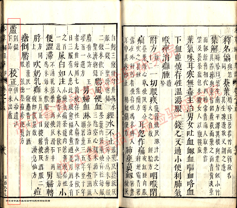 芦根 明 《本草纲目》 资料图