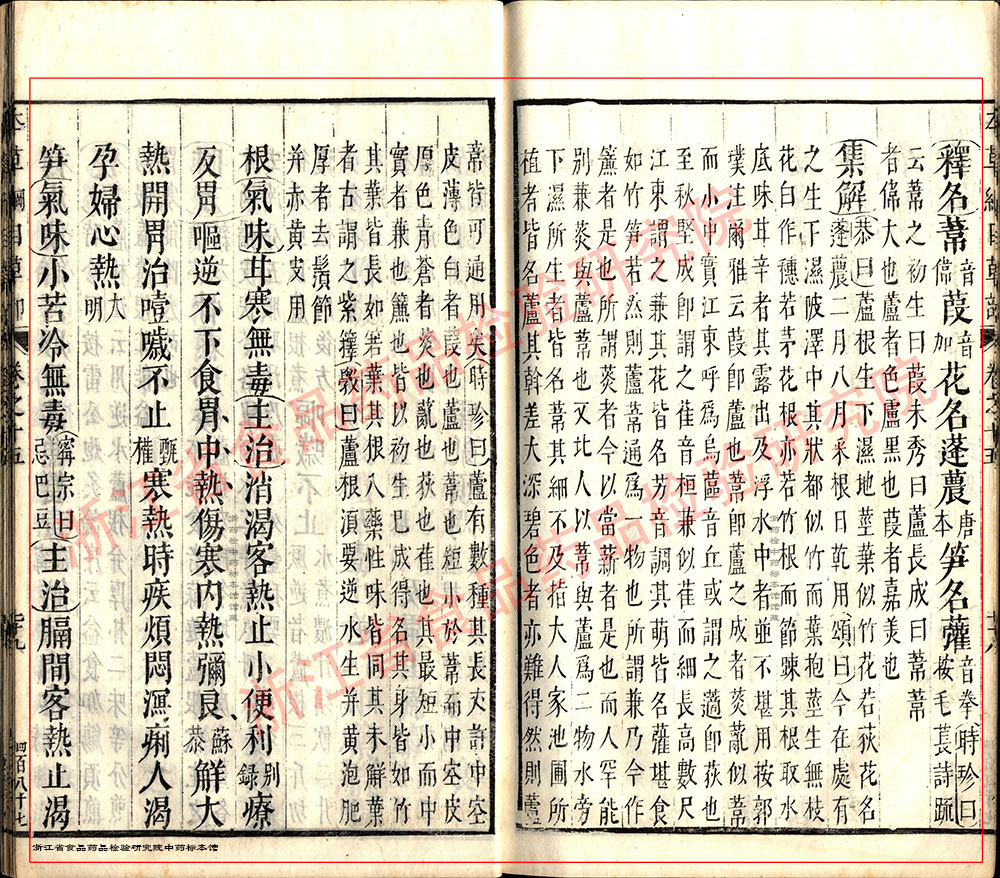 芦根 明 《本草纲目》 资料图