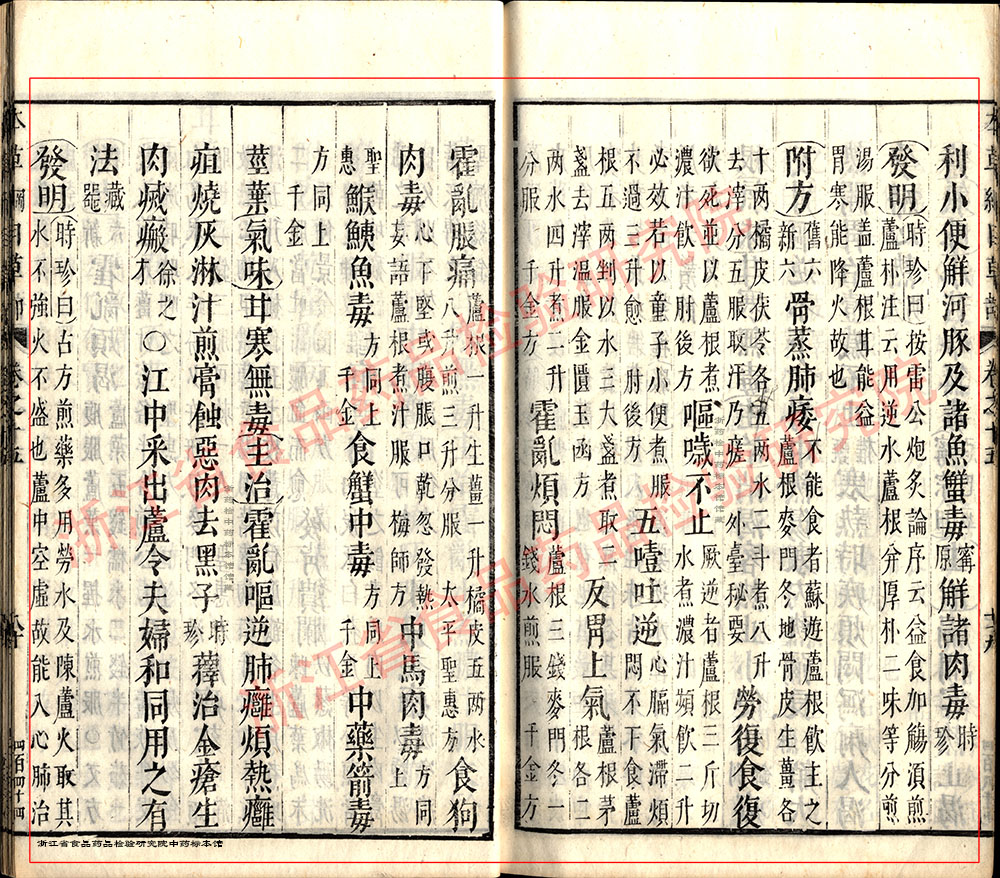 芦根 明 《本草纲目》 资料图