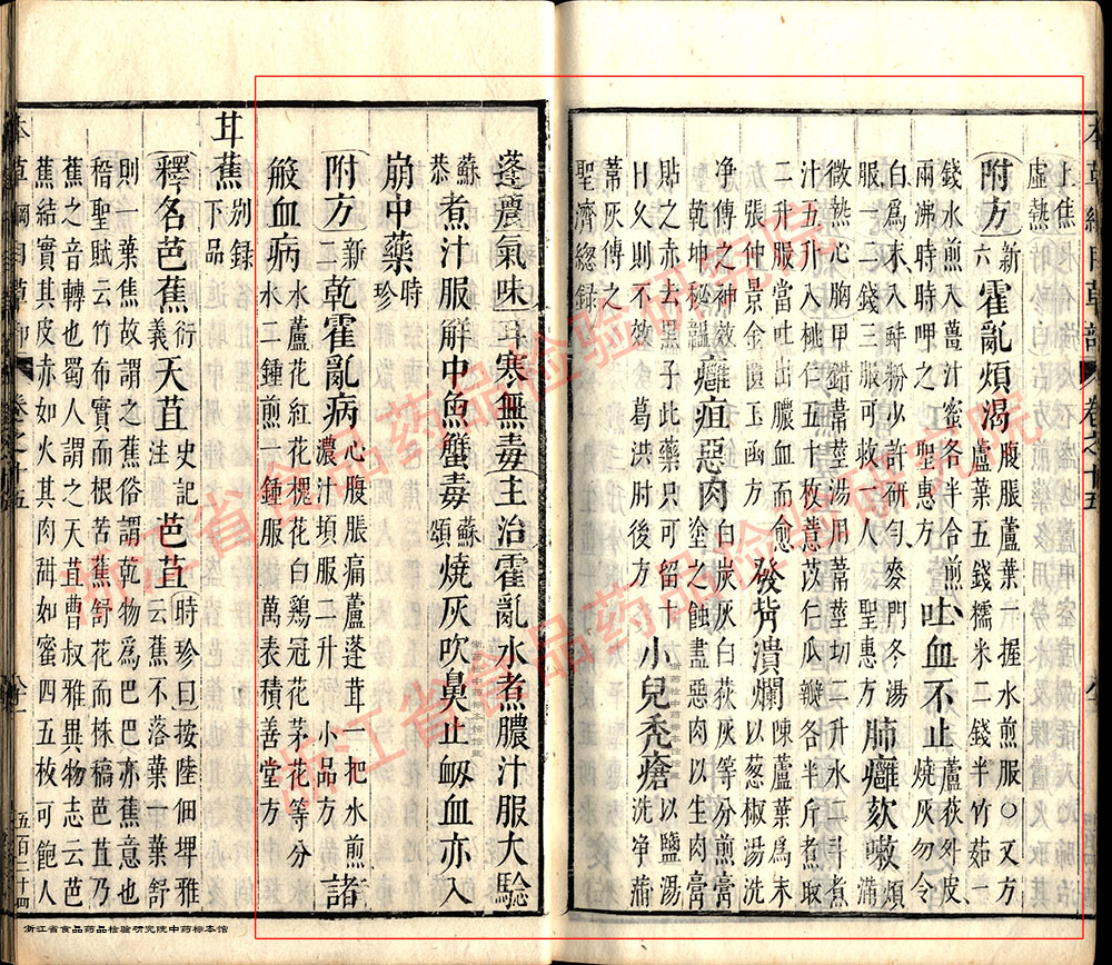 芦根 明 《本草纲目》 资料图