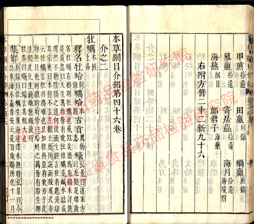 牡蛎 明 《本草纲目》 资料图