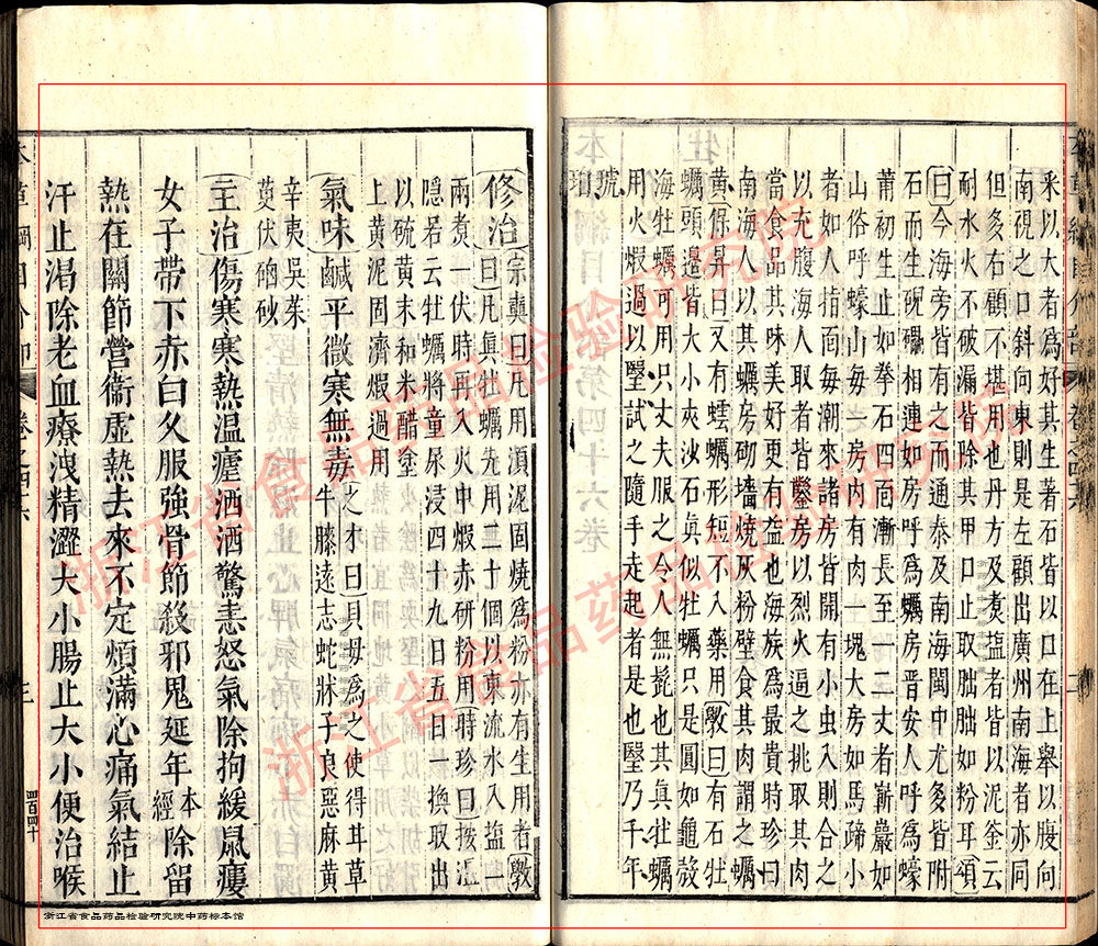 牡蛎 明 《本草纲目》 资料图