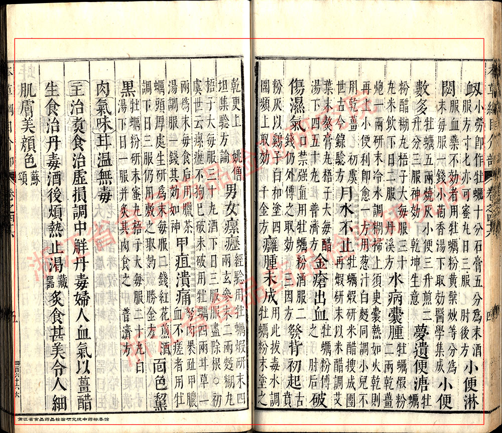 牡蛎 明 《本草纲目》 资料图