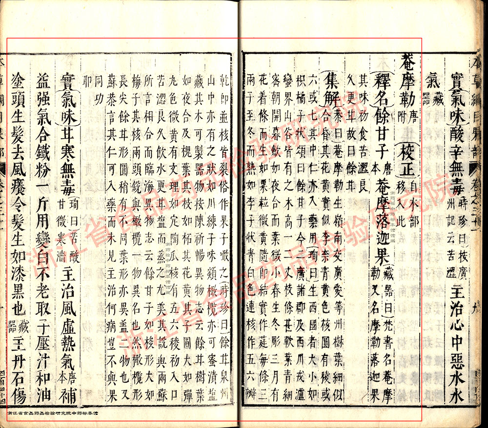 余甘子 明 《本草纲目》 资料图