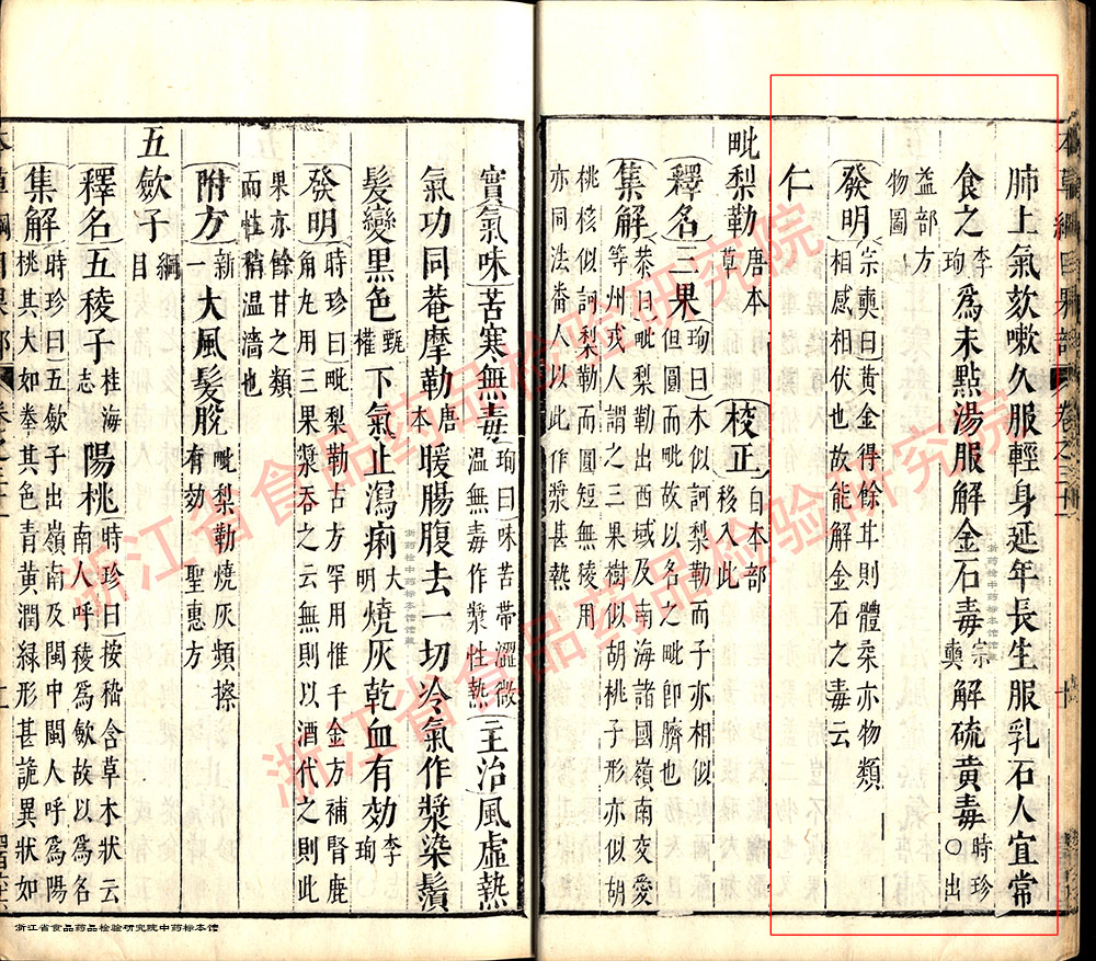 余甘子 明 《本草纲目》 资料图