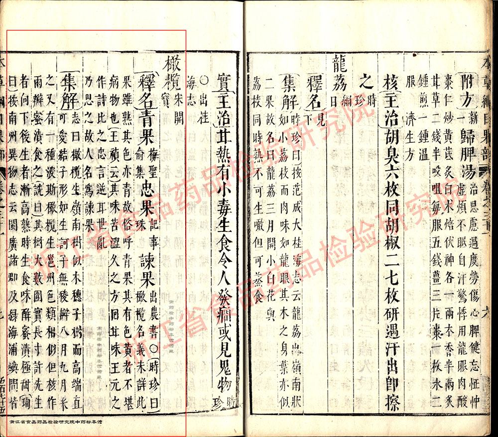 青果 明 《本草纲目》 资料图