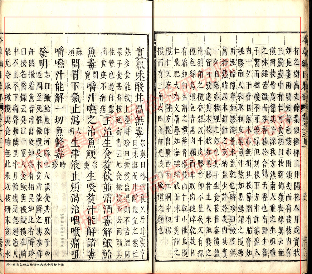 青果 明 《本草纲目》 资料图