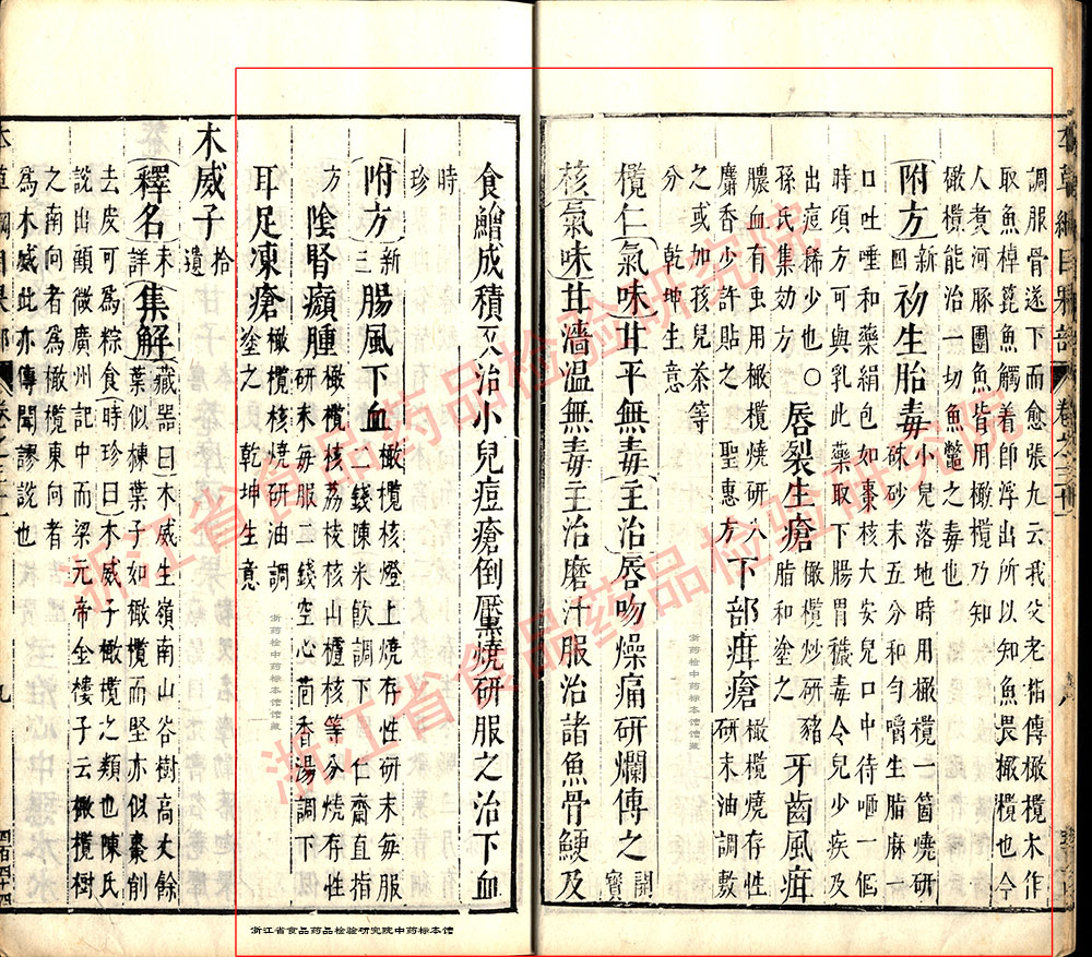青果 明 《本草纲目》 资料图