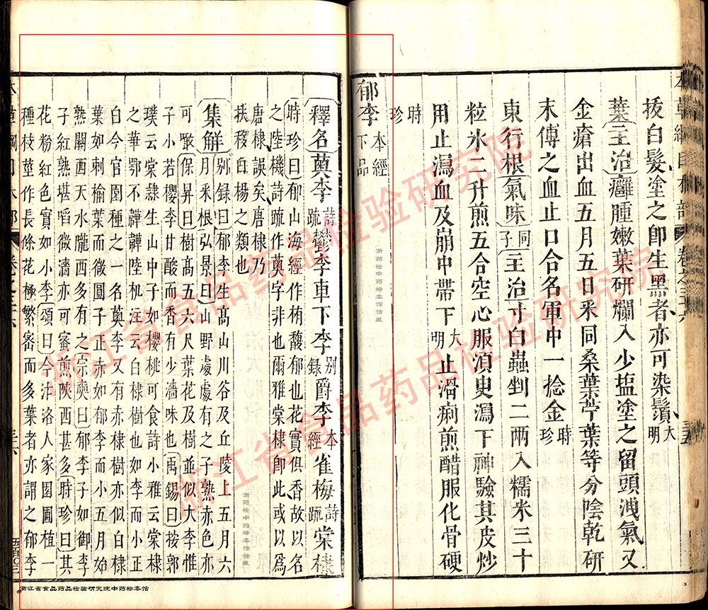 郁李仁 明-《本草纲目》 资料图