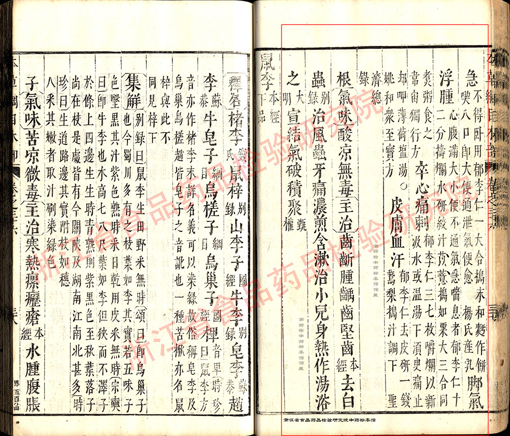 郁李仁 明-《本草纲目》 资料图