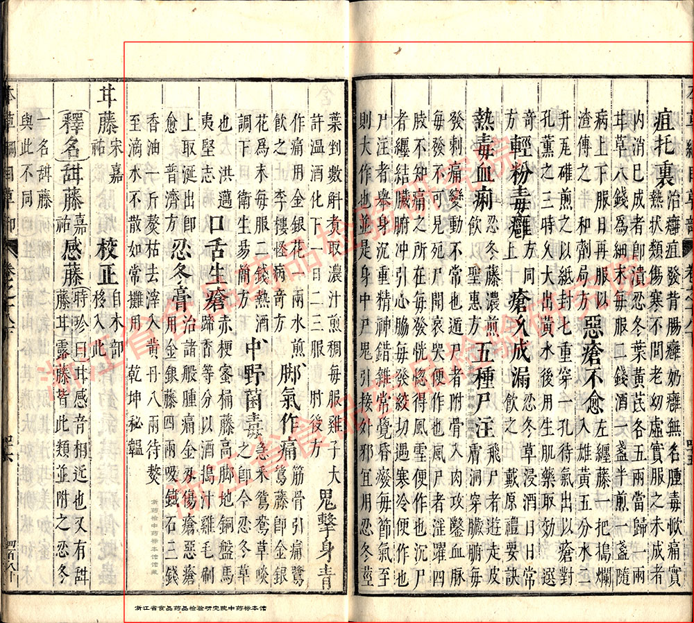 金银花 明-《本草纲目》 资料图
