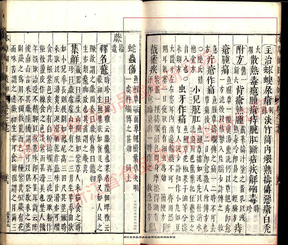 鱼腥草 明-《本草纲目》 资料图