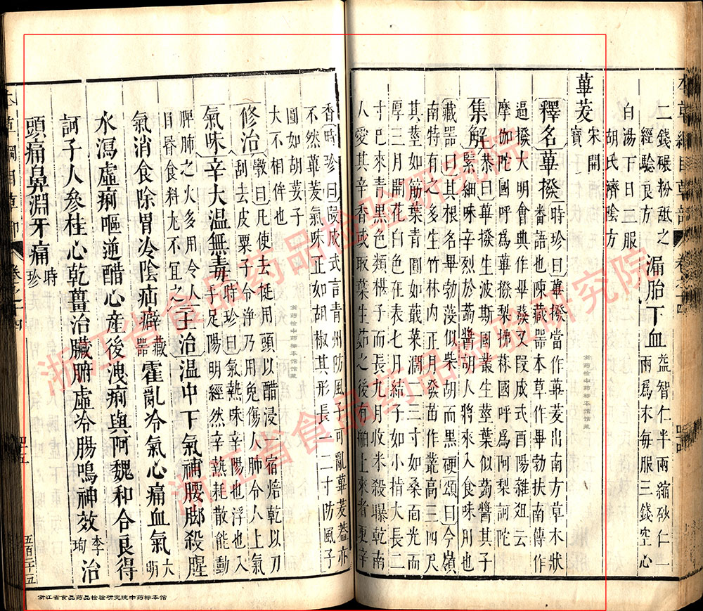 荜茇 明-《本草纲目》 资料图