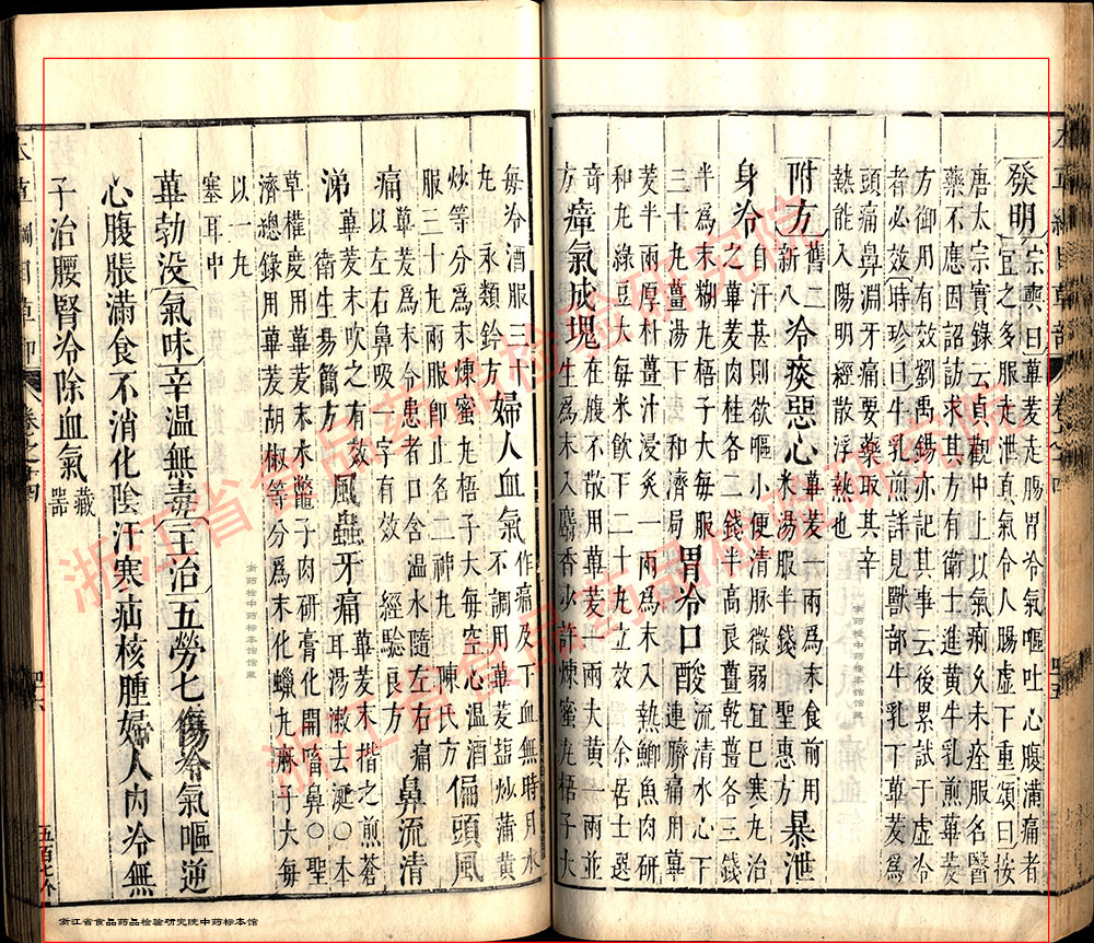 荜茇 明-《本草纲目》 资料图