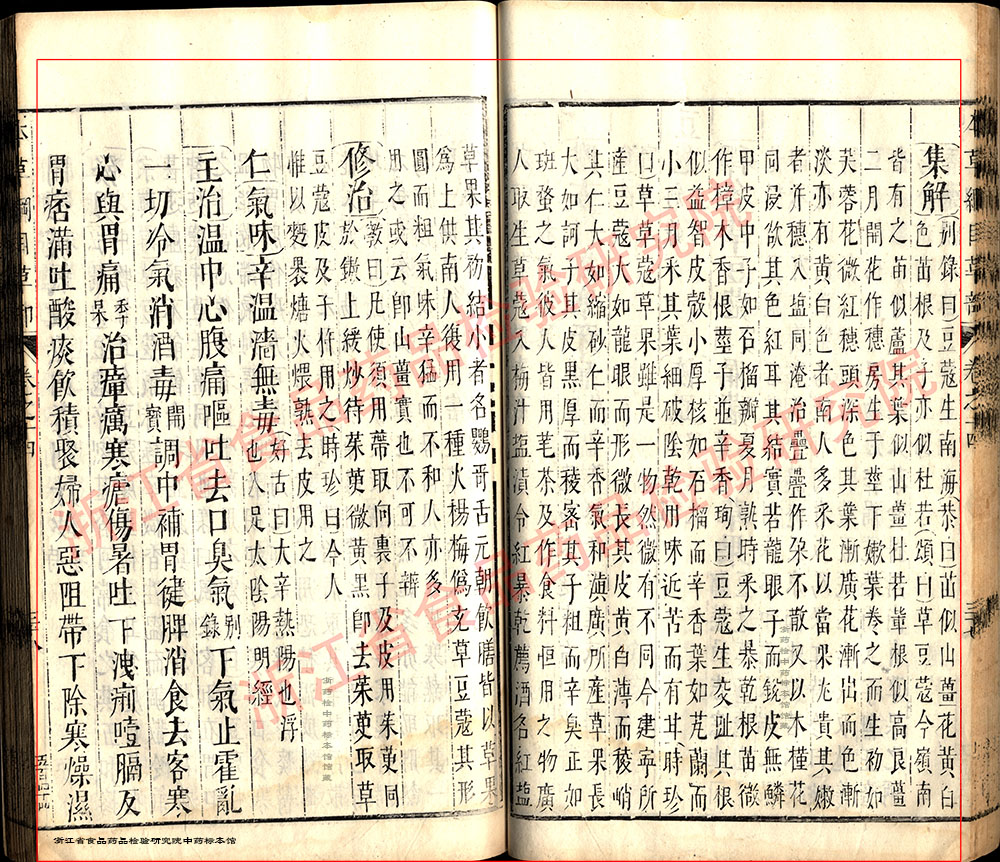 草果 明-《本草纲目》 资料图