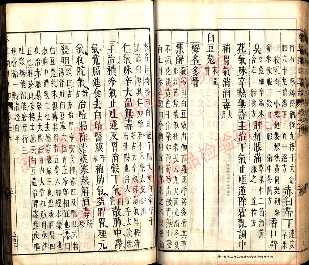 草果 明-《本草纲目》 资料图