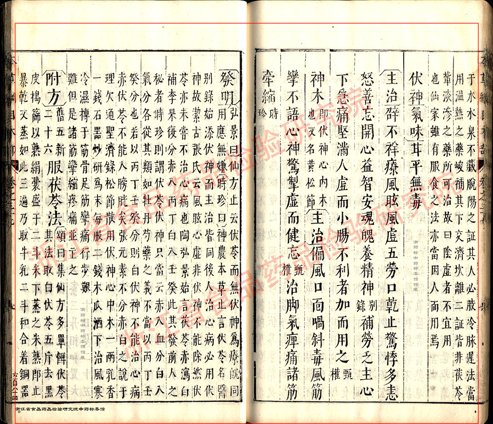 茯苓 明-《本草纲目》 资料图