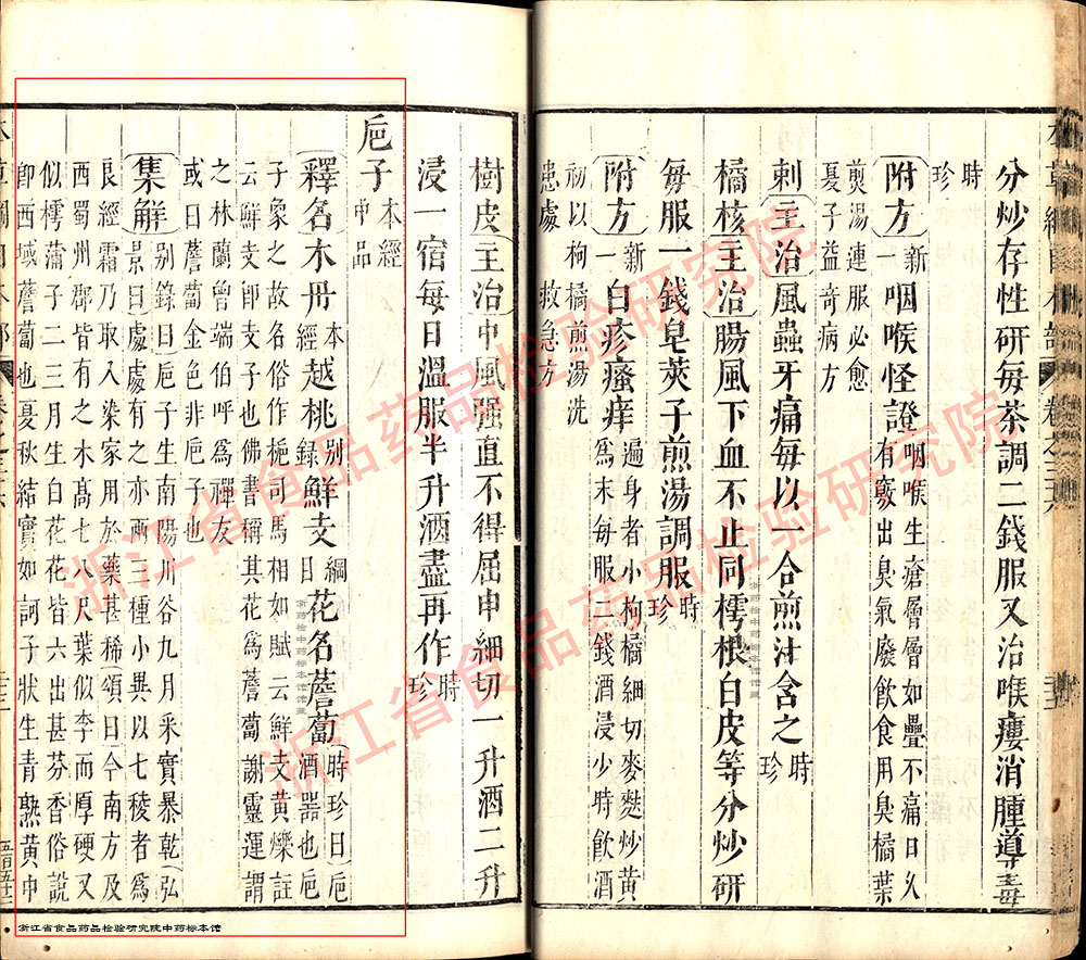 栀子 明-《本草纲目》 资料图