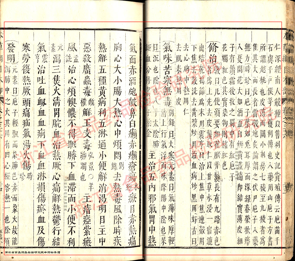 栀子 明-《本草纲目》 资料图