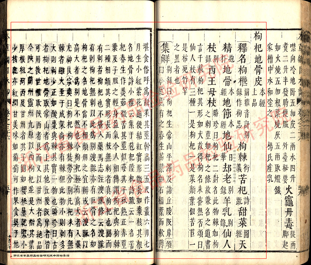 枸杞子 明-《本草纲目》 资料图