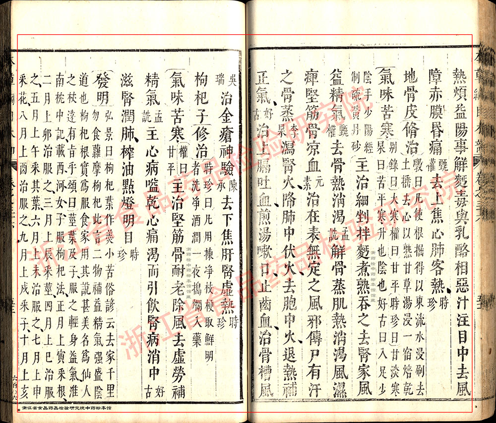 枸杞子 明-《本草纲目》 资料图