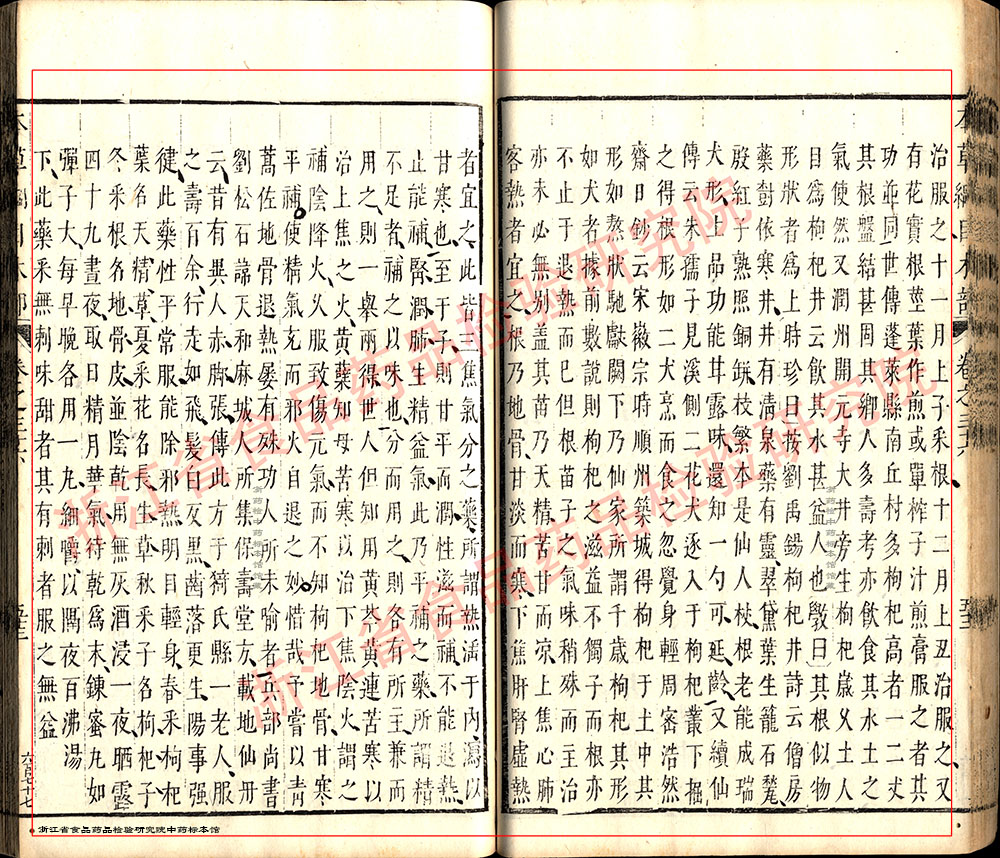 枸杞子 明-《本草纲目》 资料图