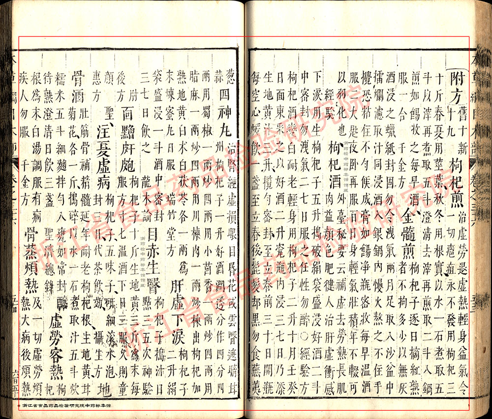 枸杞子 明-《本草纲目》 资料图