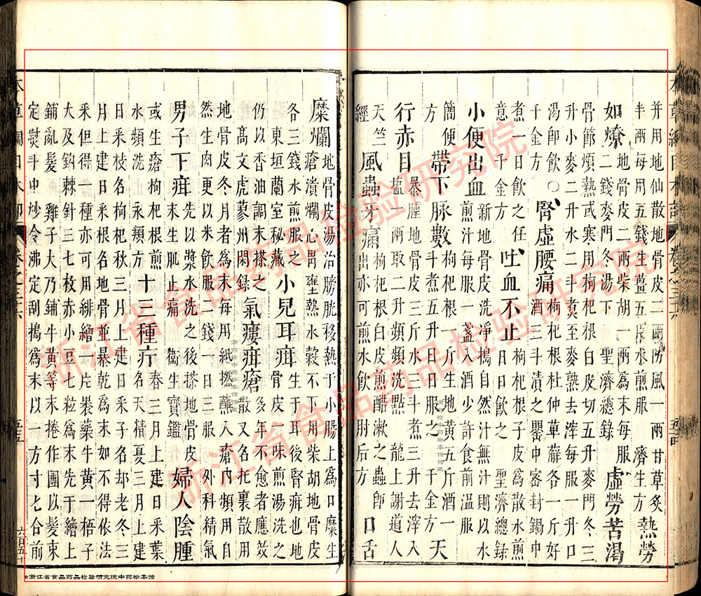 枸杞子 明-《本草纲目》 资料图
