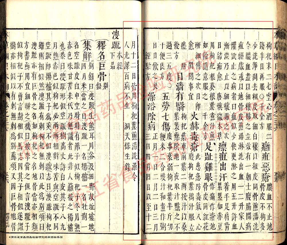 枸杞子 明-《本草纲目》 资料图