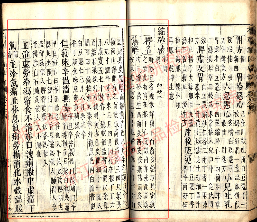 砂仁 明-《本草纲目》 资料图