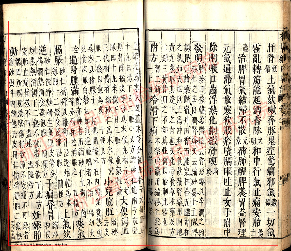 砂仁 明-《本草纲目》 资料图
