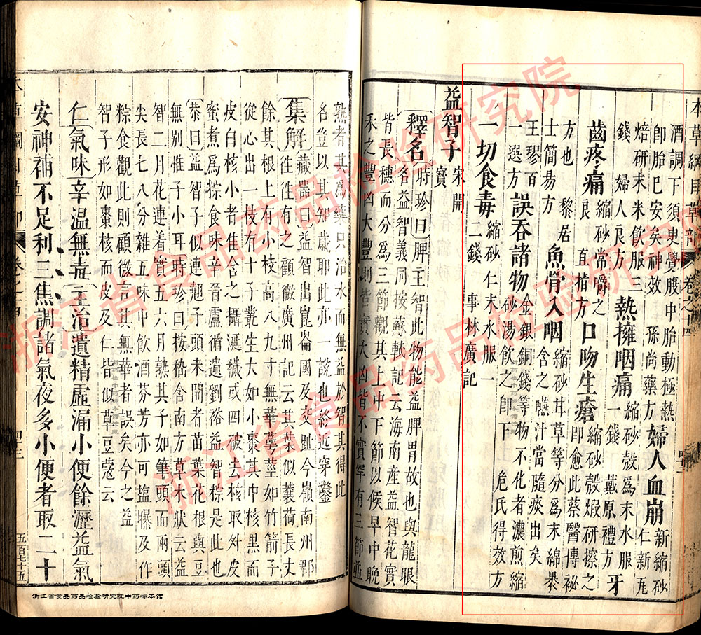 砂仁 明-《本草纲目》 资料图