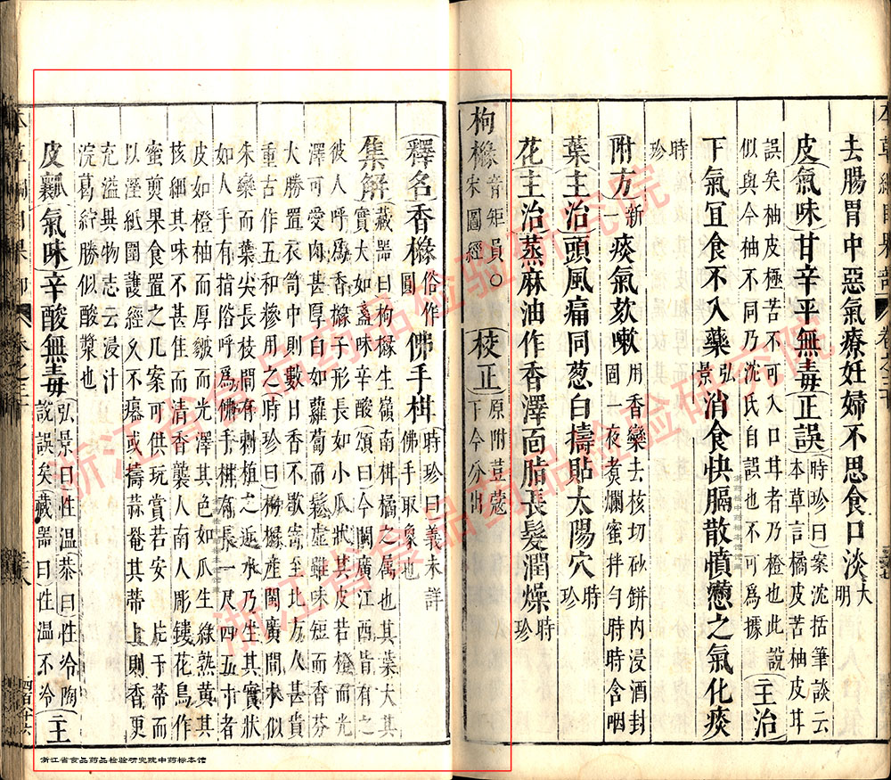 香橼 明-《本草纲目》 资料图