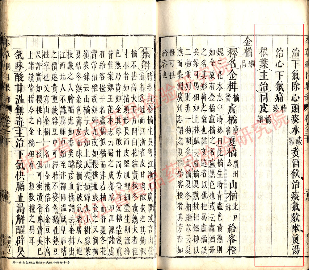 香橼 明-《本草纲目》 资料图