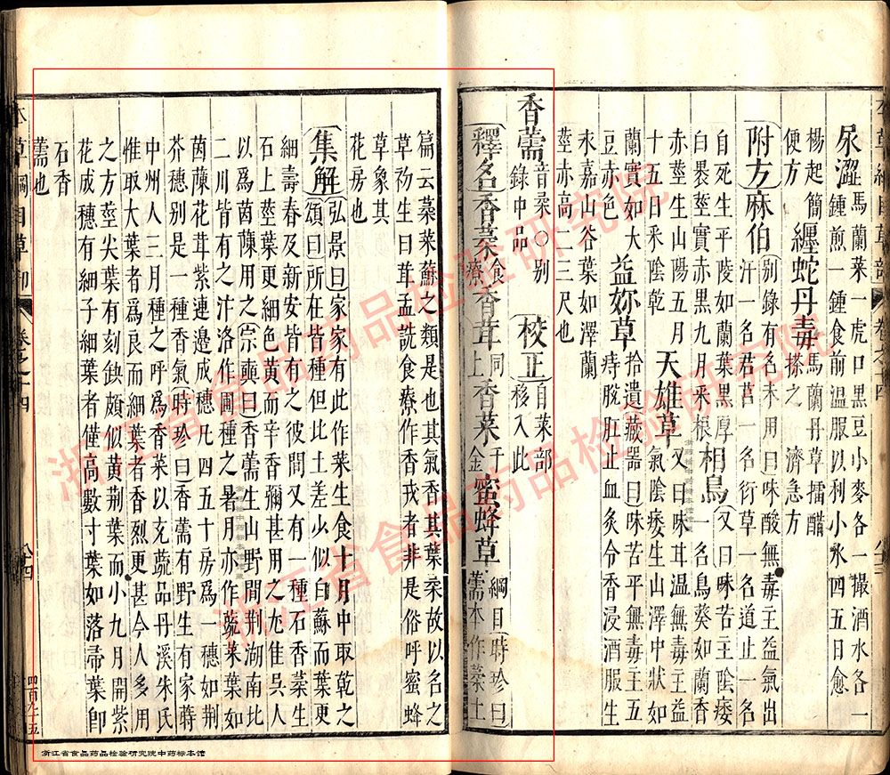 香薷 明 《本草纲目》 资料图