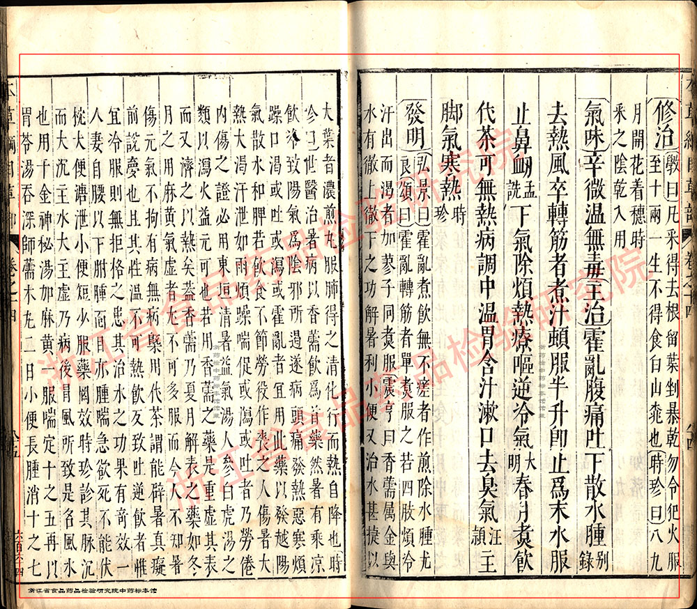 香薷 明 《本草纲目》 资料图