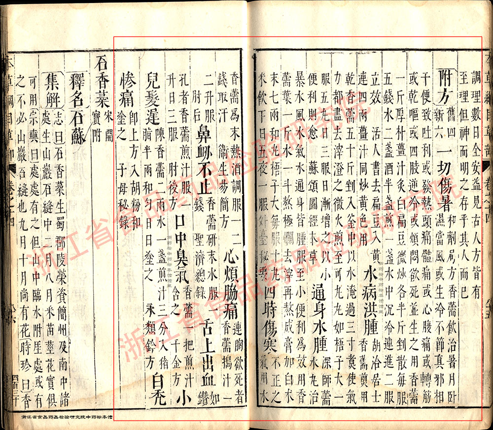 香薷 明 《本草纲目》 资料图