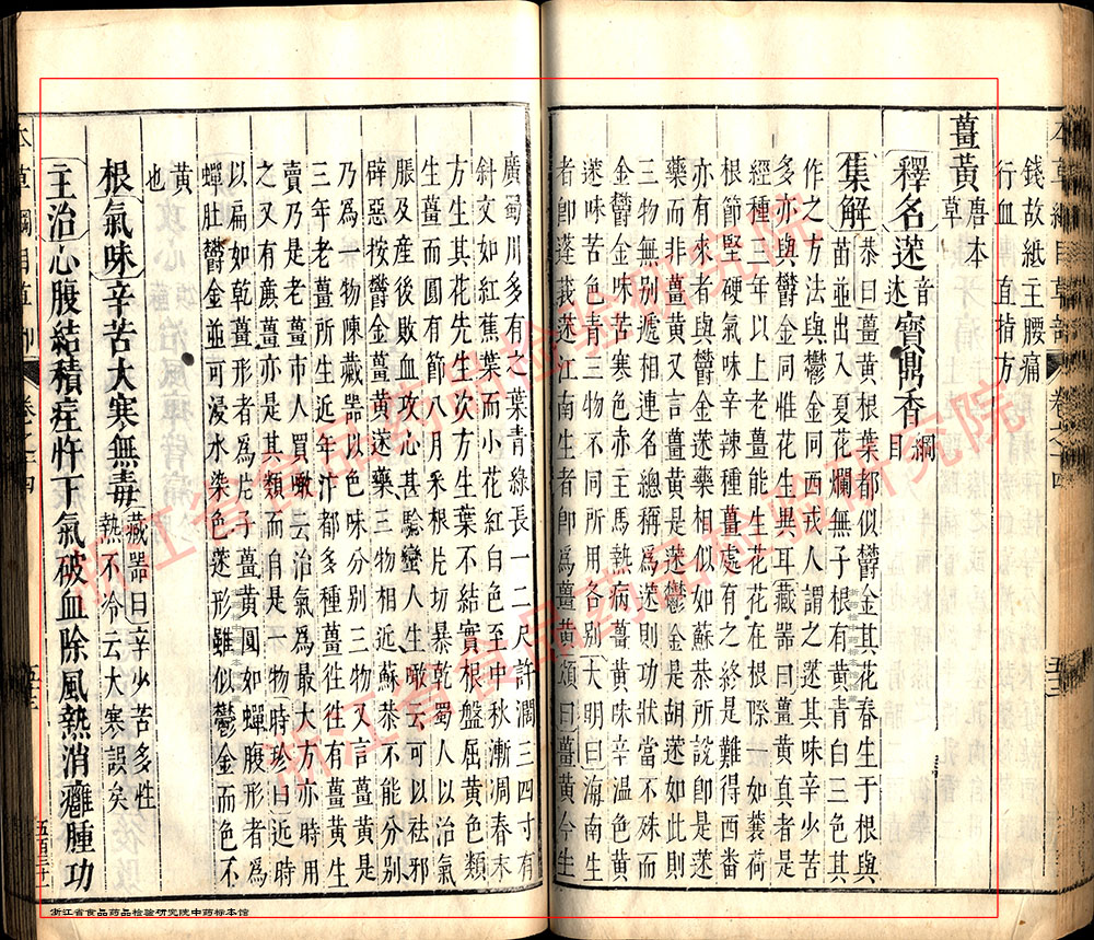 姜黄 明 《本草纲目》 资料图