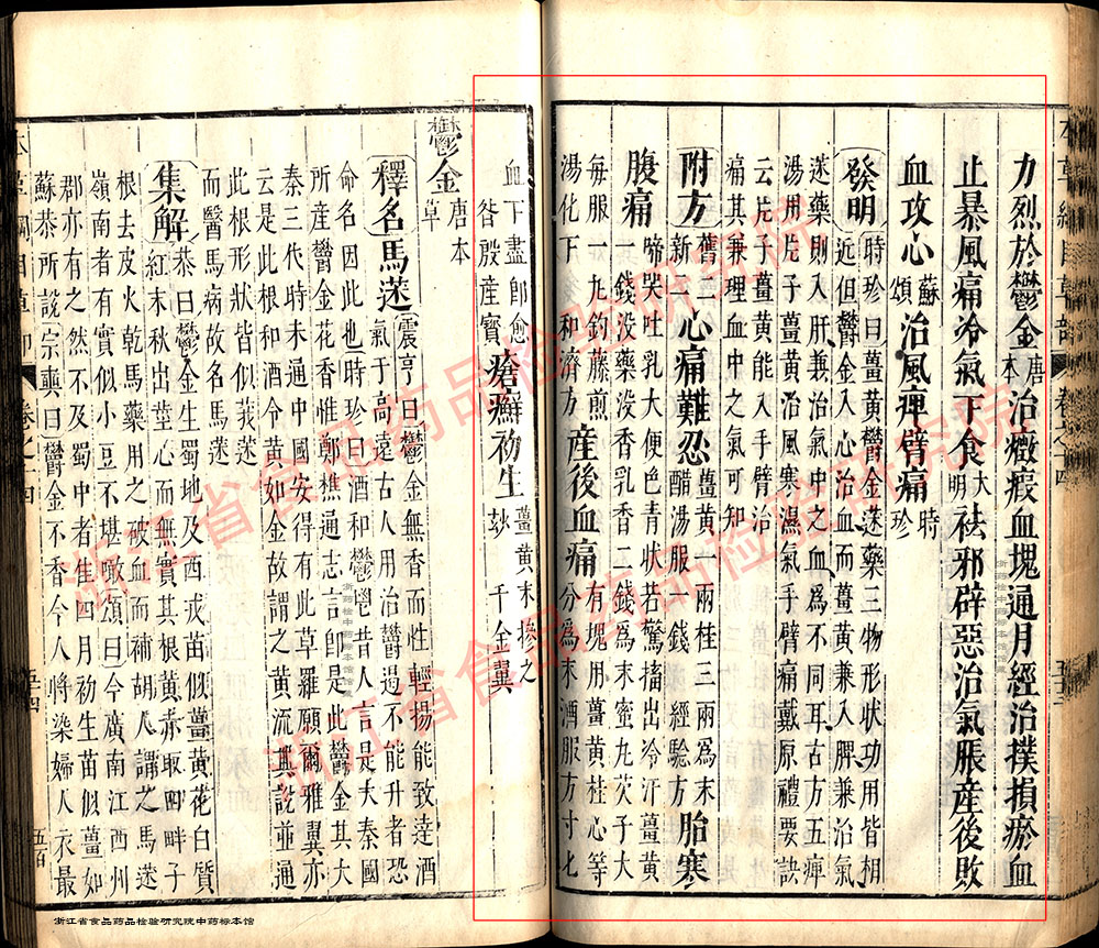 姜黄 明 《本草纲目》 资料图
