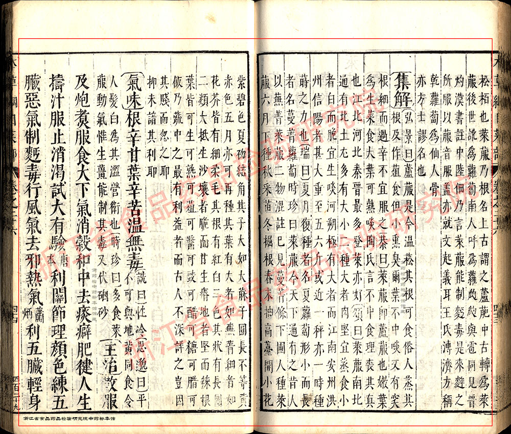 莱菔子 明 《本草纲目》 资料图