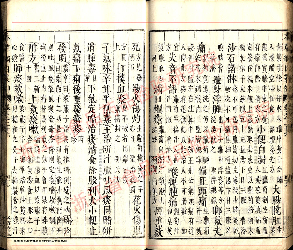 莱菔子 明 《本草纲目》 资料图