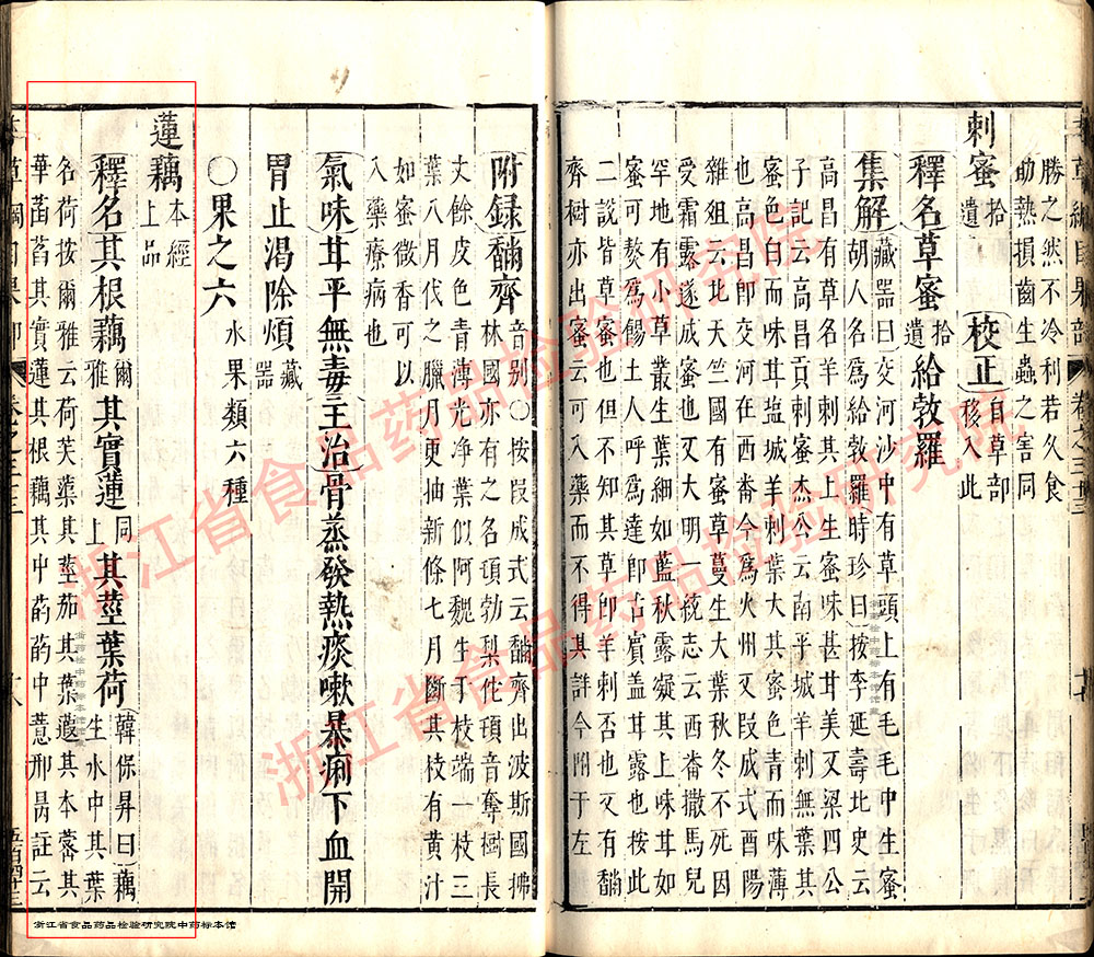 莲子 明 《本草纲目》 资料图
