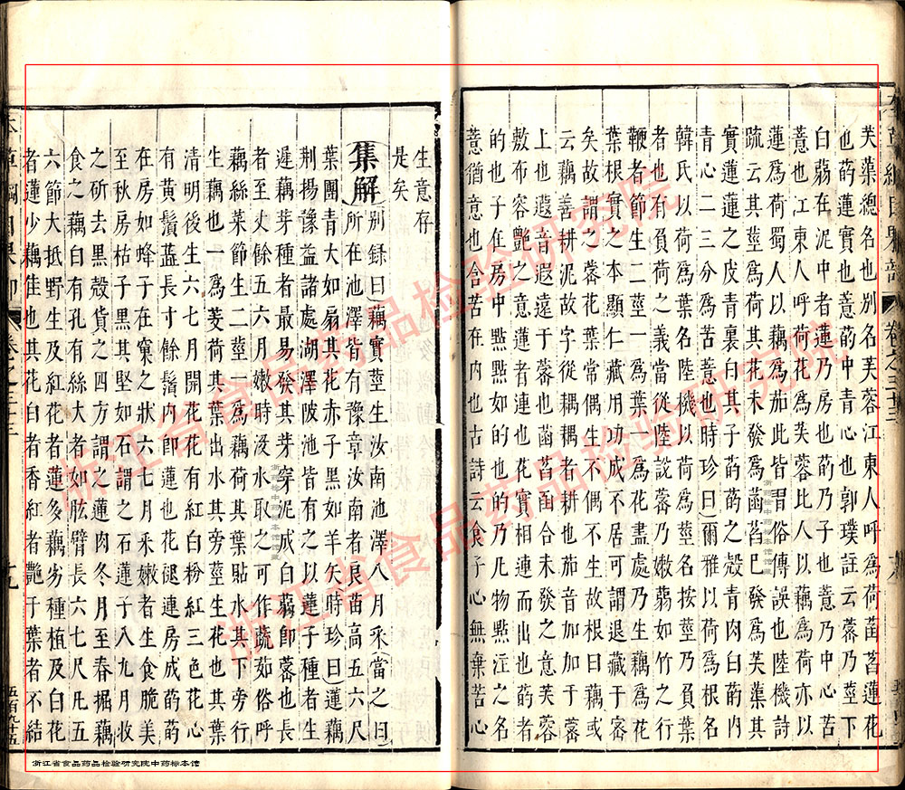 莲子 明 《本草纲目》 资料图