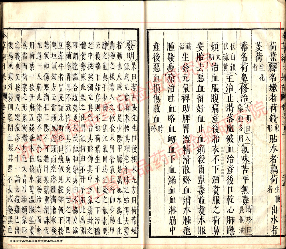莲子 明 《本草纲目》 资料图