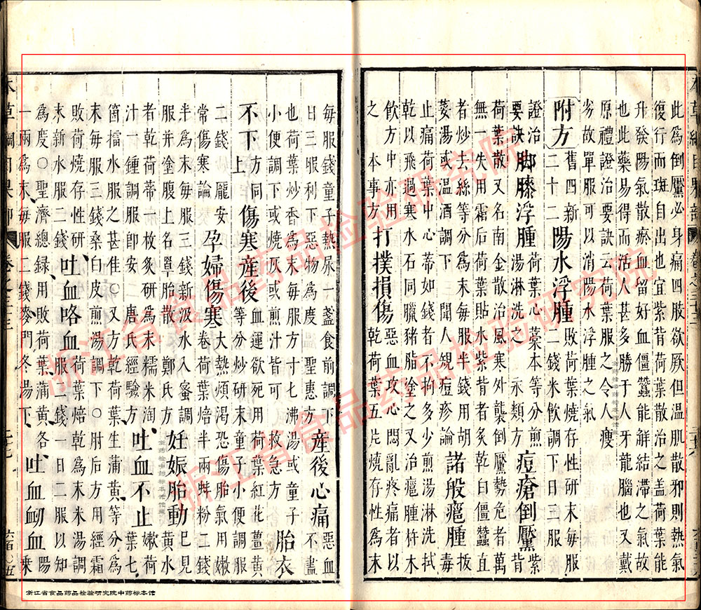 莲子 明 《本草纲目》 资料图