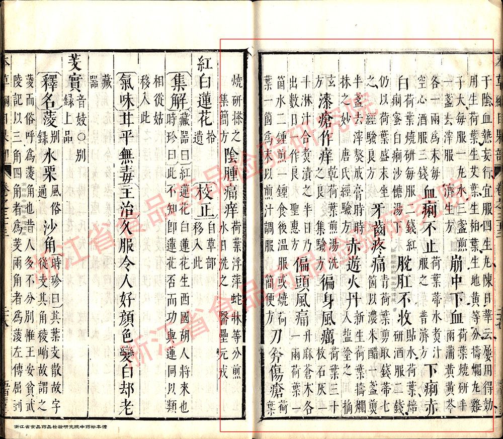 莲子 明 《本草纲目》 资料图
